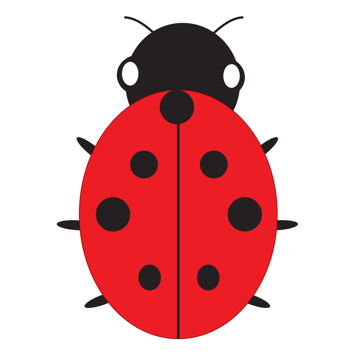 Featured image for “Ladybug - Top View”