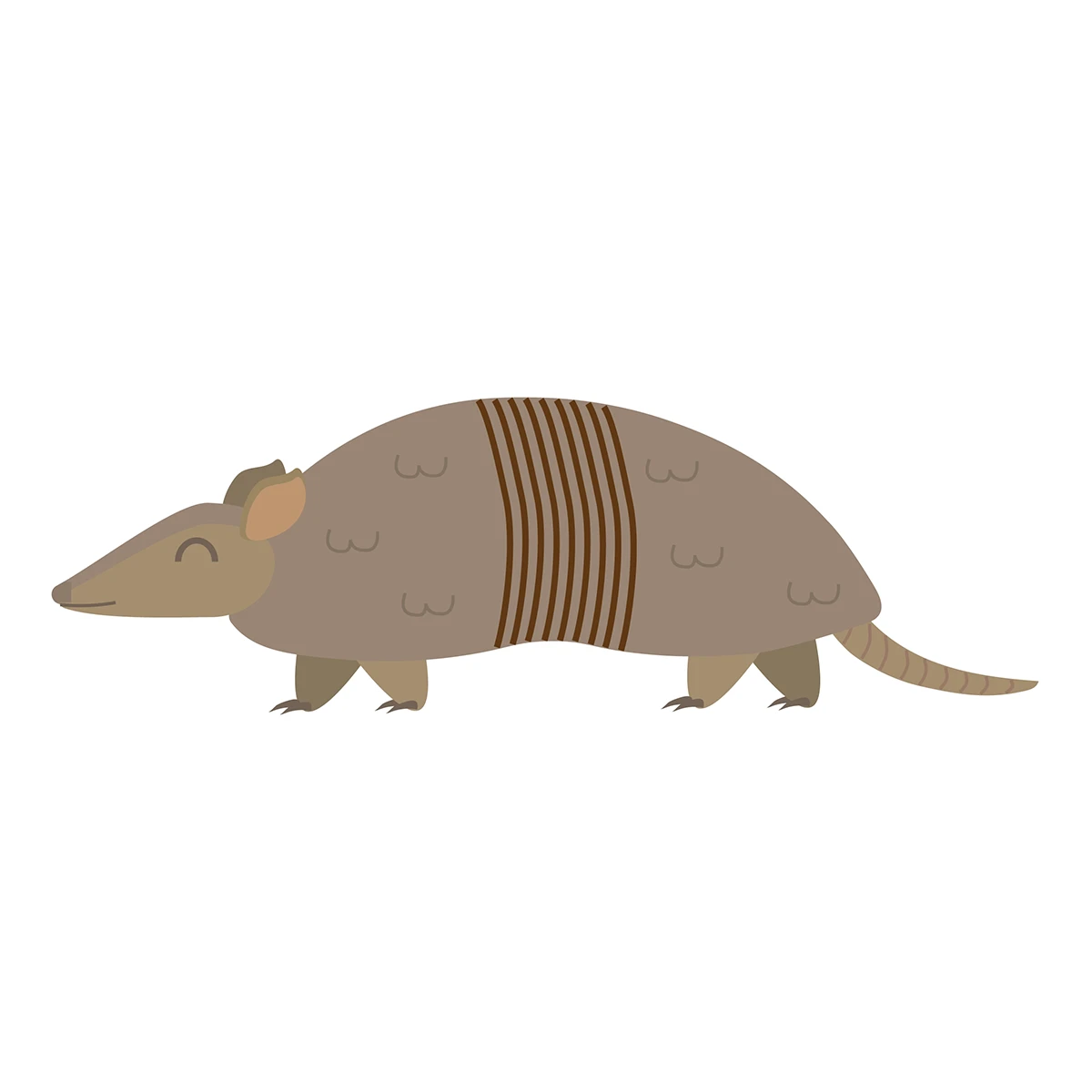 Featured image for “Texas - Armadillo”