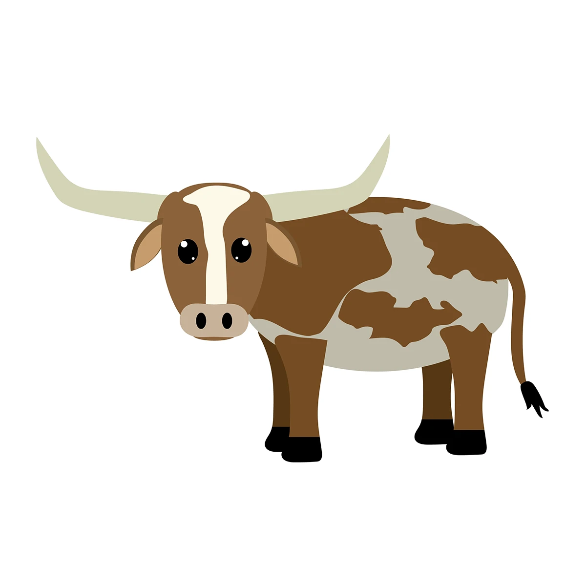 Featured image for “Texas - Cow”