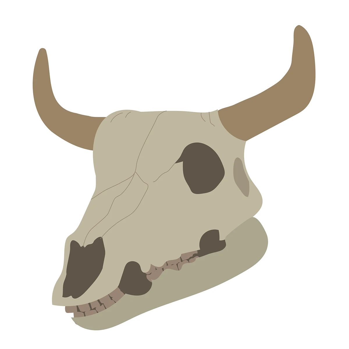 Featured image for “Texas - Cow Skull”