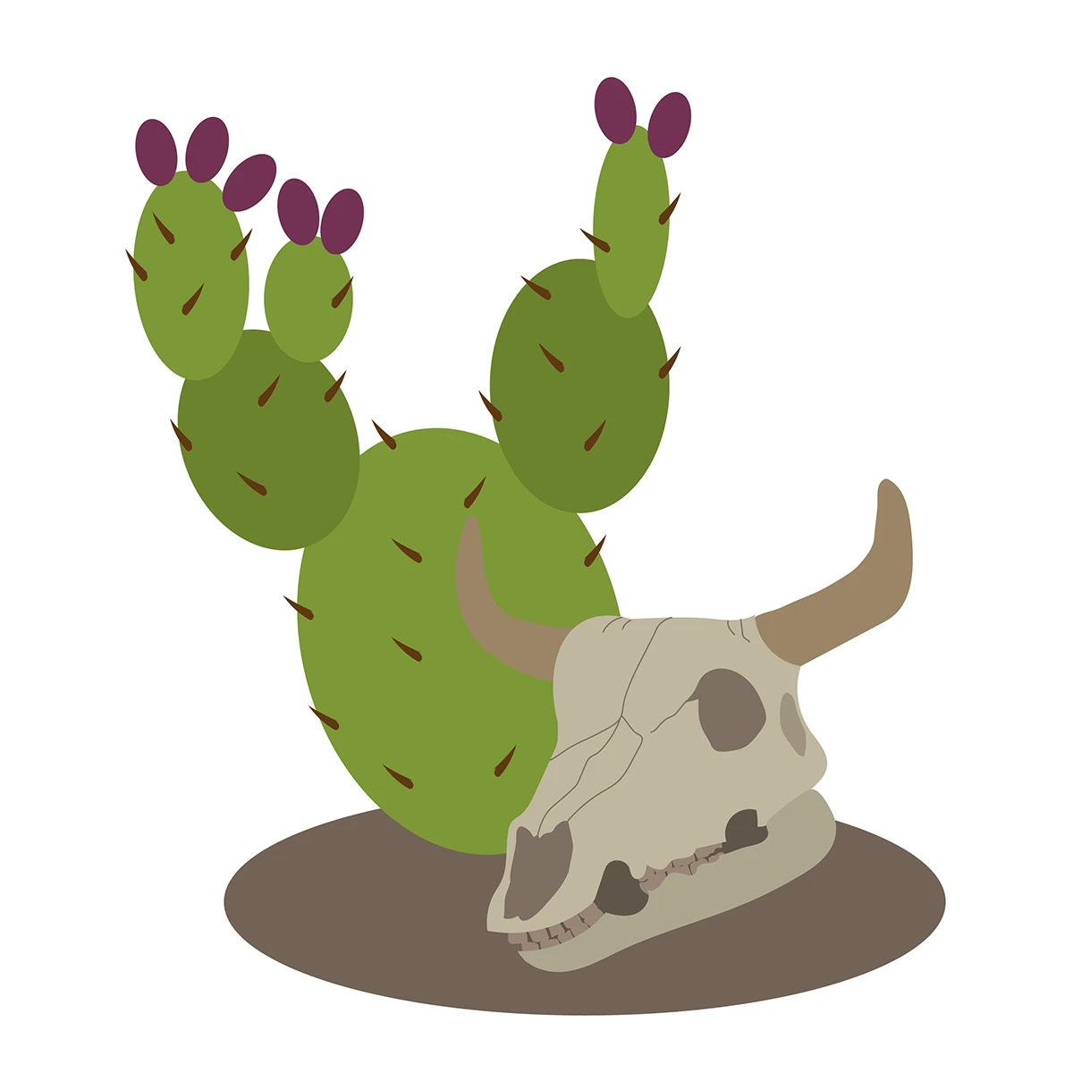 Featured image for “Texas - Cow Skull Cactus”