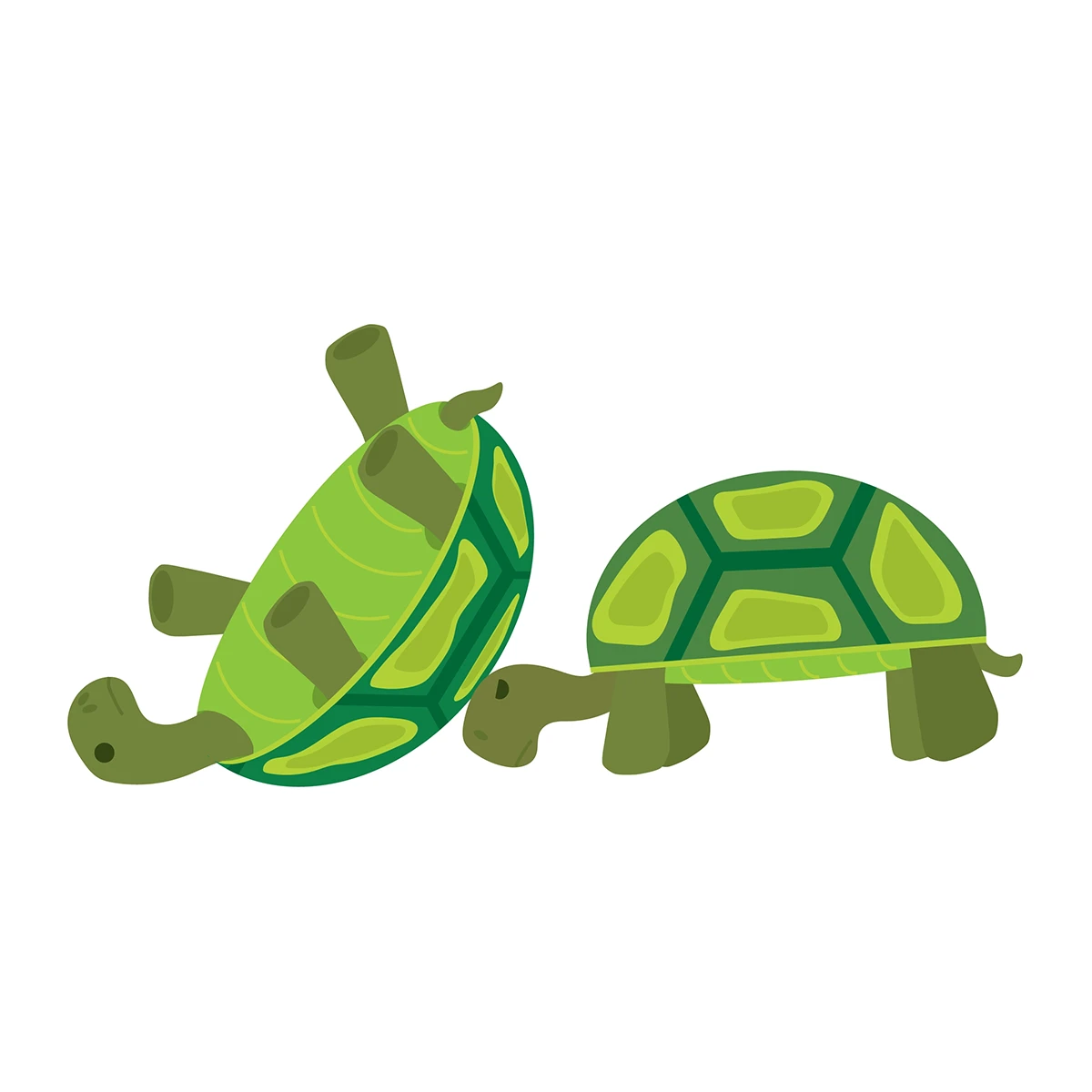 Featured image for “Turtles - Helping”